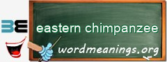 WordMeaning blackboard for eastern chimpanzee